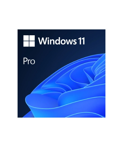 Windows 11 Professional-ElektronikLisans